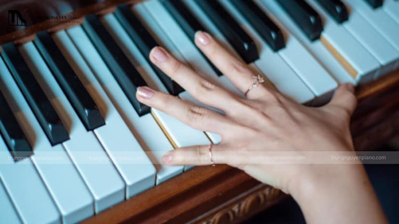  piano điện bàn phím nặng nhất với độ nặng bàn phím làm tăng trải nghiệm chơi