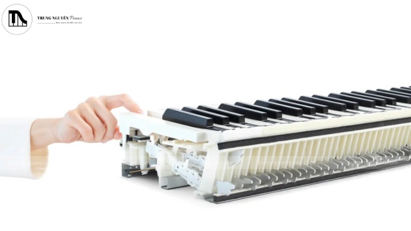 Cơ chế Hammer Action bên trong một cây piano điện