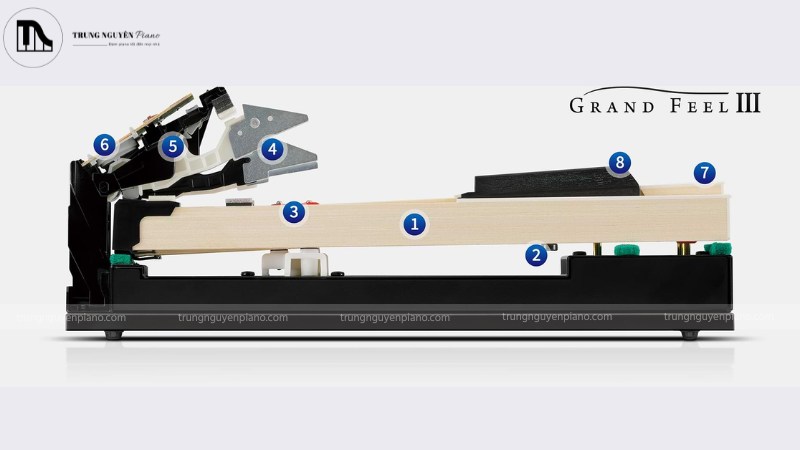 Bàn phím Grand Feel Compact đem lại cảm giác tiệm cận đàn piano cơ