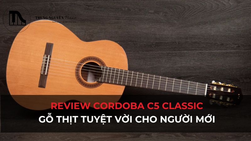 Review Cordoba C5 Classic: Gỗ thịt tuyệt vời cho người mới