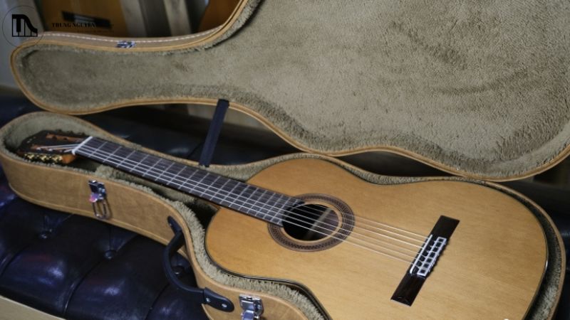 Review Cordoba C5 Classic: Guitar gỗ thịt tuyệt vời cho người mới 2 Cordoba C5 là đàn guitar classic cỡ trung, hỗ trợ âm thanh ấm