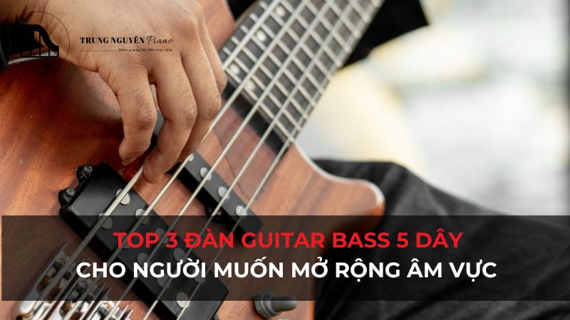 Top 3 đàn guitar Bass 5 dây cho người muốn mở rộng âm vực