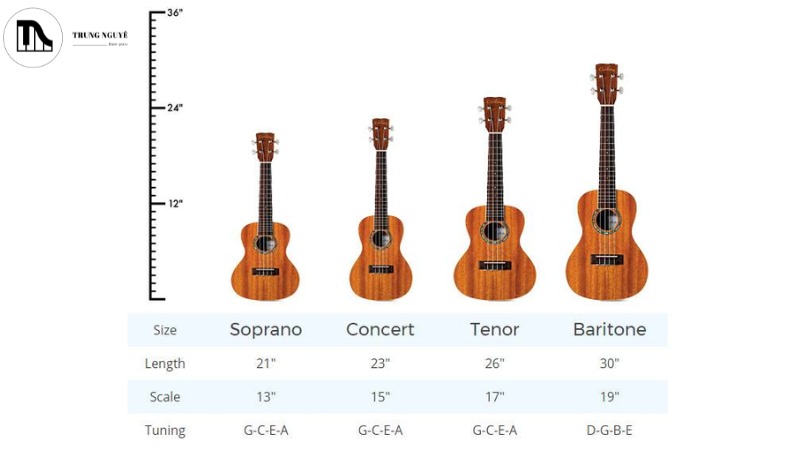 Kích thước của 4 loại Ukulele: Soprano, Concert, Tenor, Baritone
