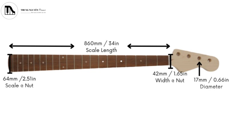 Vị trí của Nut width và Scale length trên cần đàn Ukulele