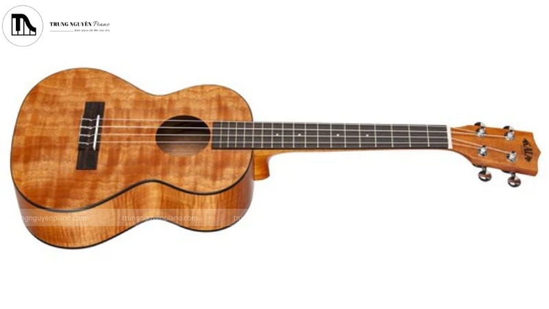 Ukulele Kala KA-TEM là một chiếc đàn quốc dân cho người mới