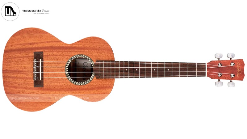 Cordoba 20TM với gỗ Mahogany mang đến độ vang và sự phong phú trong âm sắc