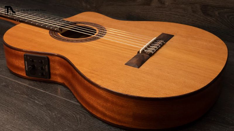 Review Cordoba C5 Classic: Guitar gỗ thịt tuyệt vời cho người mới 6 Lợi ích và hạn chế của Cordoba C5