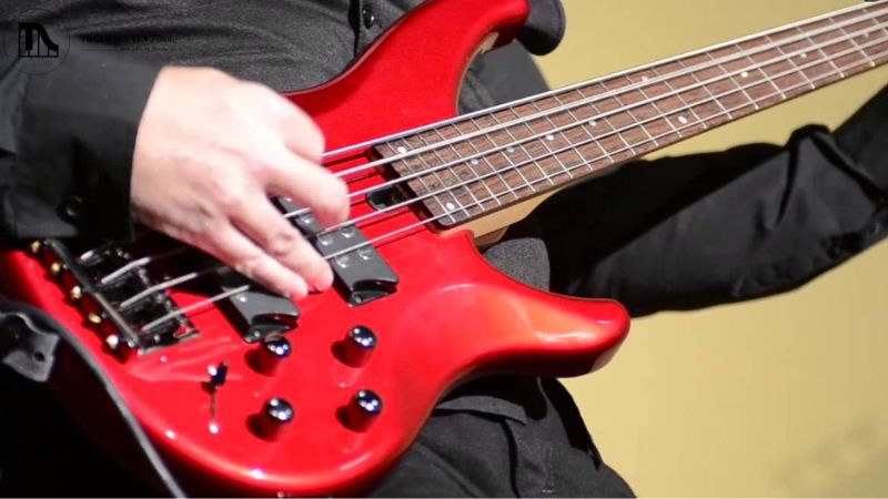 Yamaha TRBX305 và TRBX505 là hai mẫu bass 5 dây nổi bật