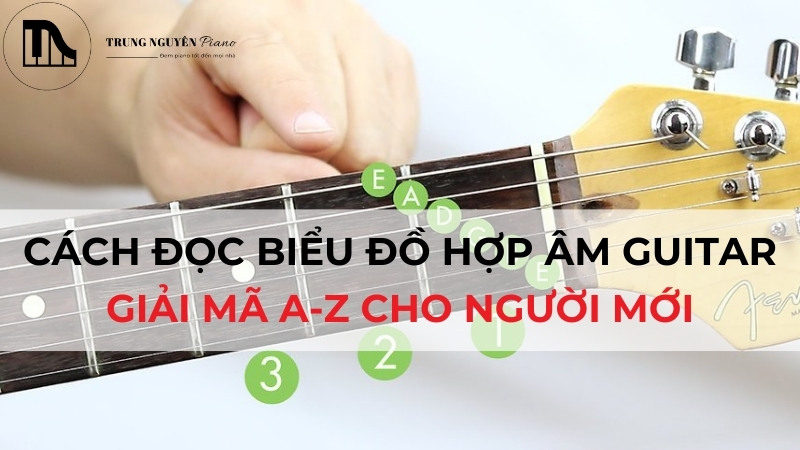 Cách đọc biểu đồ hợp âm Guitar: Giải mã A-Z cho người mới