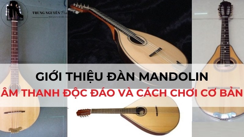Giới thiệu đàn Mandolin: Âm thanh độc đáo và Cách chơi cơ bản