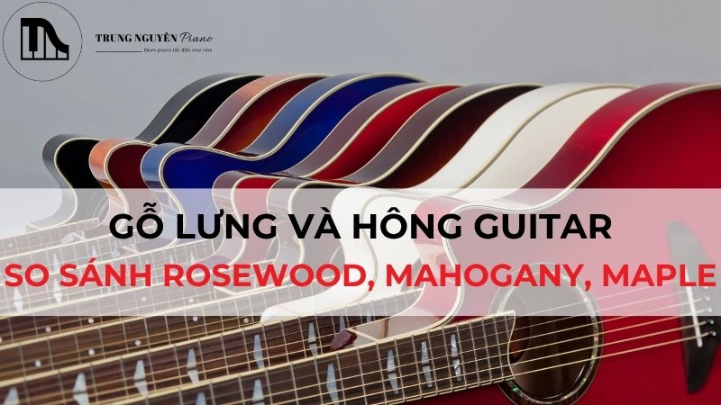 Perfect Pitch (Tai nghe tuyệt đối) là gì và luyện tập được không?