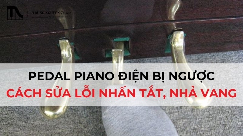Pedal Piano điện bị ngược: Cách sửa lỗi nhấn tắt, nhả vang