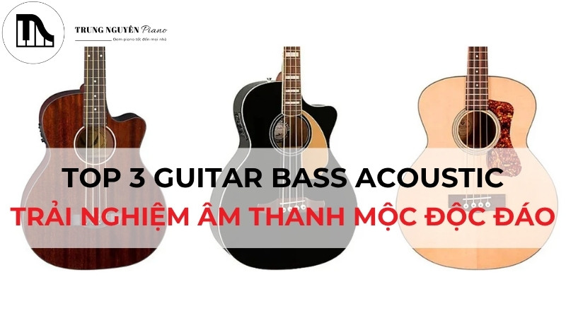 Top 3 Guitar Bass Acoustic: Trải nghiệm âm thanh mộc độc đáo