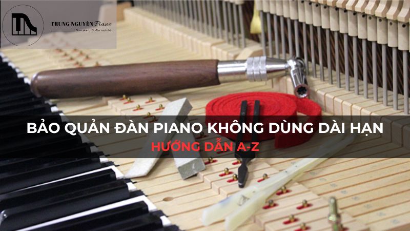 Bảo quản đàn piano không dùng dài hạn Hướng dẫn A-Z