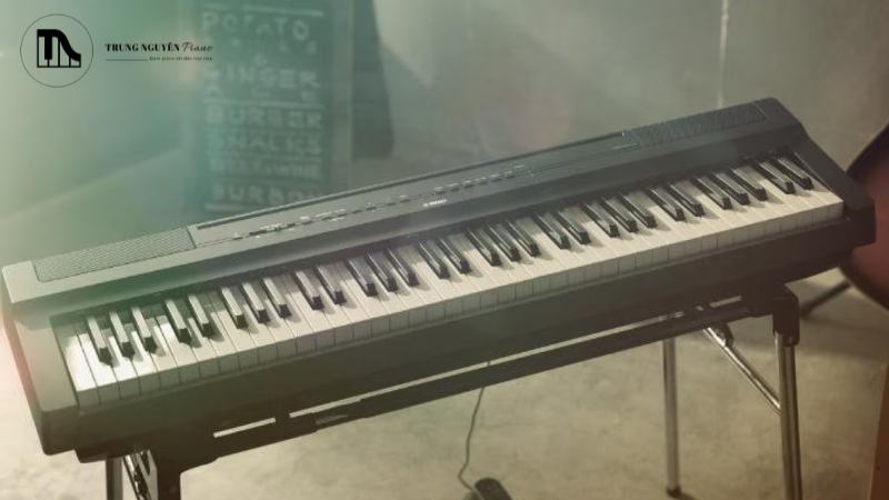 Đảm bảo mái che đủ rộng để bao phủ toàn bộ cây đàn và khu vực xung quanh.