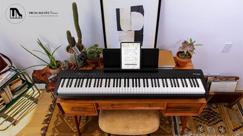 Luôn kiểm tra kỹ các đầu cắm trước khi kết nối để đảm bảo chúng khô ráo và sạch sẽ.