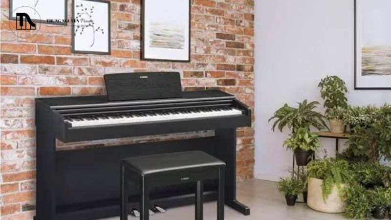 Dùng khăn mềm và chổi để vệ sinh toàn bộ bề mặt và các kẽ phím.