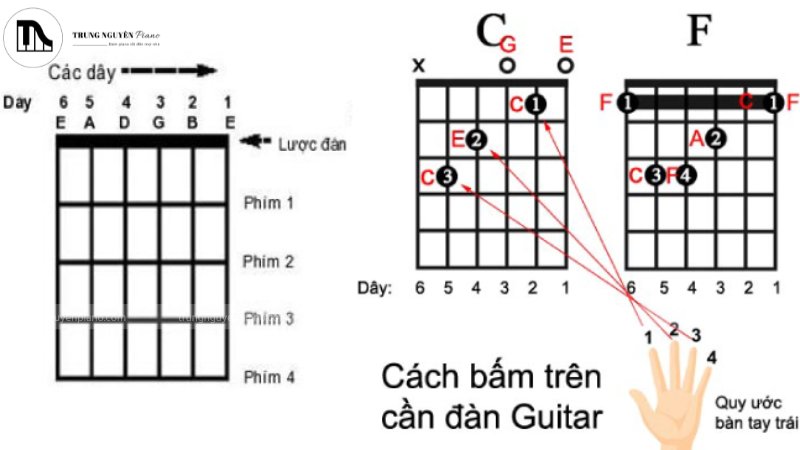 Cách đọc biểu đồ hợp âm guitar: Giải mã A-Z cho người mới 1 10 hợp âm guitar cơ bản mà người mới cần biết