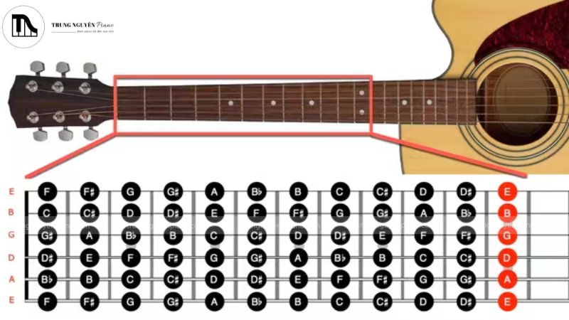 Cách đọc biểu đồ hợp âm guitar: Giải mã A-Z cho người mới 2 Dây đàn và ngăn đàn chính là bản đồ trực quan