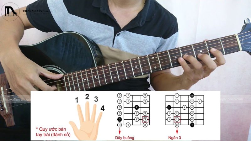 Cách đọc biểu đồ hợp âm guitar: Giải mã A-Z cho người mới 3 Quy ước bàn tay bấm hợp âm