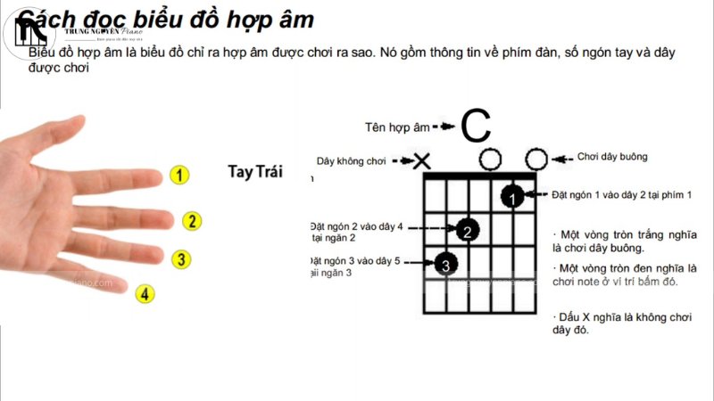 Cách đọc biểu đồ hợp âm guitar: Giải mã A-Z cho người mới 4 Biểu đồ hợp âm guitar C rõ nét