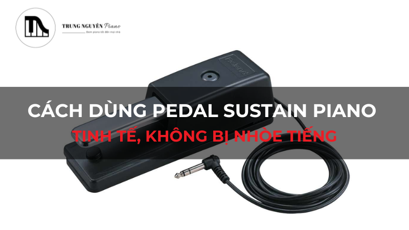 Cách dùng Pedal Sustain piano tinh tế, không bị nhòe tiếng