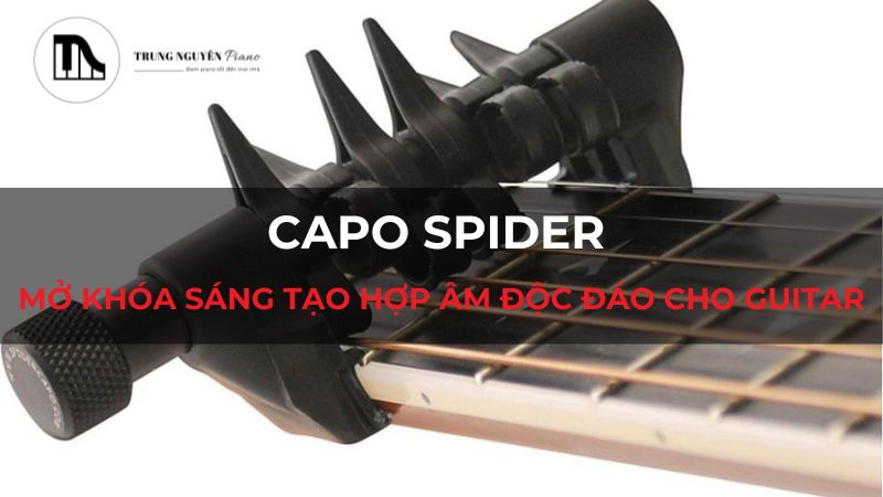 Capo Spider: Mở khóa sáng tạo hợp âm độc đáo cho Guitar