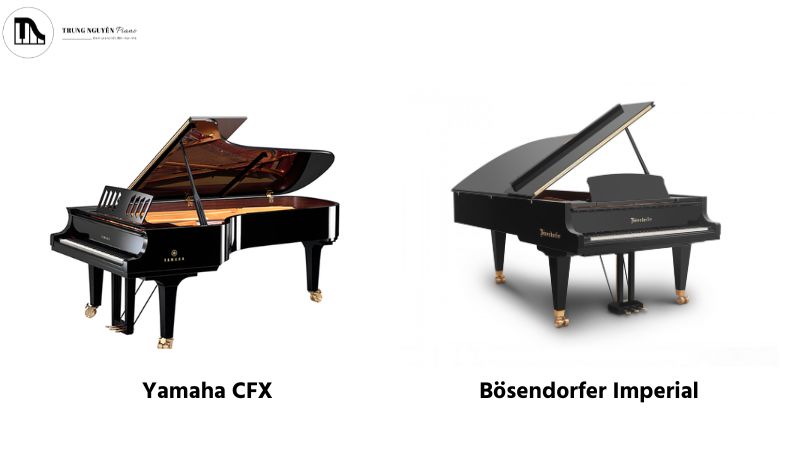 Sự hòa quyện âm thanh từ hai cây đàn hòa nhạc hàng đầu thế giới
