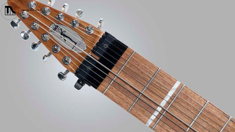 Định nghĩa về Chapman Stick