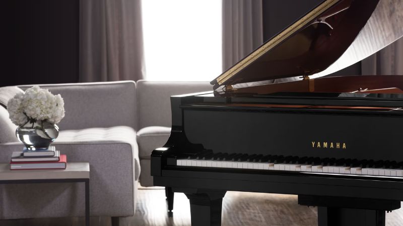 Chi phí lên dây Piano cơ: Tại nhà hay cửa hàng tốt và rẻ hơn? 4 Dịch vụ chuyên nghiệp mang lại sự an tâm khi bảo dưỡng và lên dây đàn piano cơ