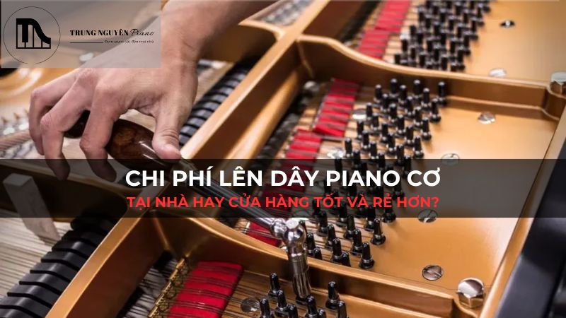 Chi phí lên dây Piano cơ: Tại nhà hay cửa hàng tốt và rẻ hơn?