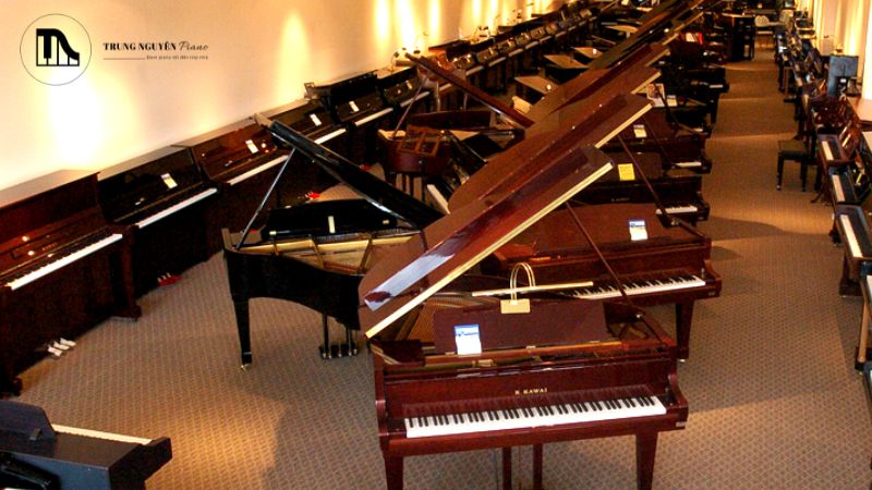 Những thương hiệu uy tín như Yamaha, Kawai, Steinway & Sons