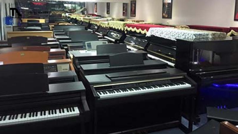 Dựa trên kết quả thẩm định kỹ lưỡng và giá trị thực tế của cây đàn trên thị trường