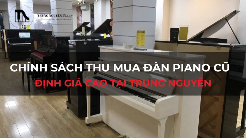 Chính sách thu mua đàn Piano cũ: Định giá cao tại Trung Nguyên