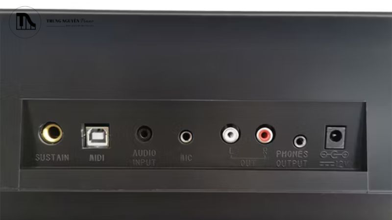 Các loại dây cáp Audio thường dùng để kết nối