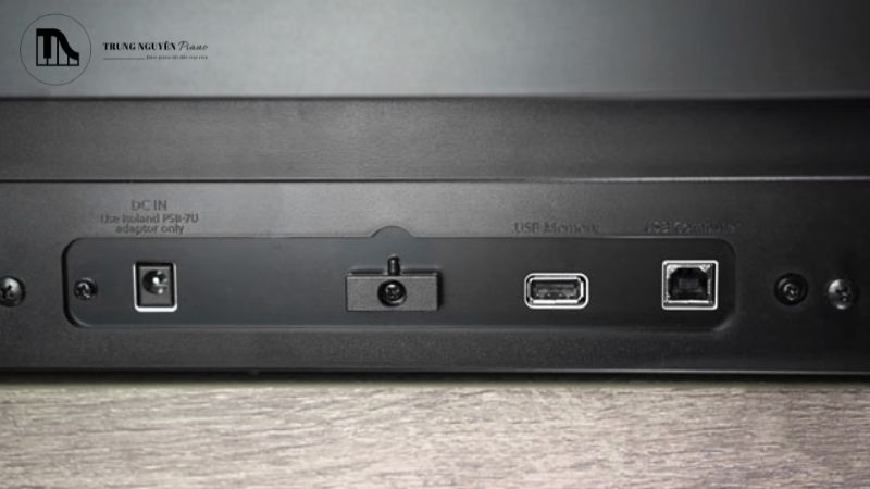 Khi bạn chỉ cắm vào cổng L/MONO, hầu hết các đàn piano sẽ tự động