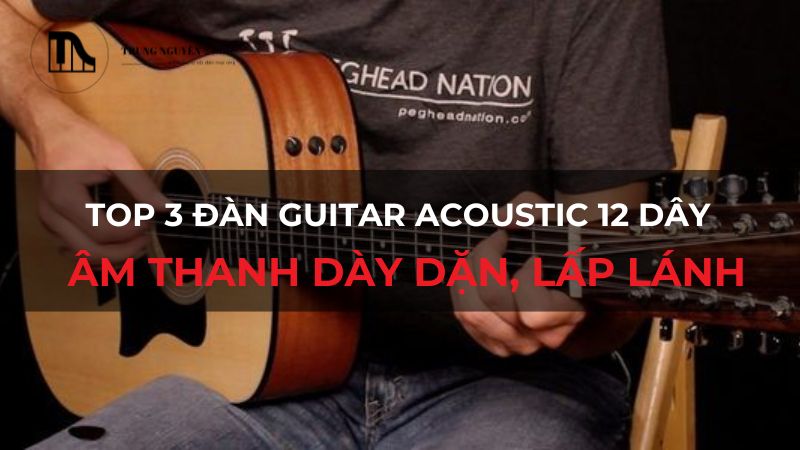Top 3 đàn Guitar Acoustic 12 dây: Âm thanh dày dặn, lấp lánh