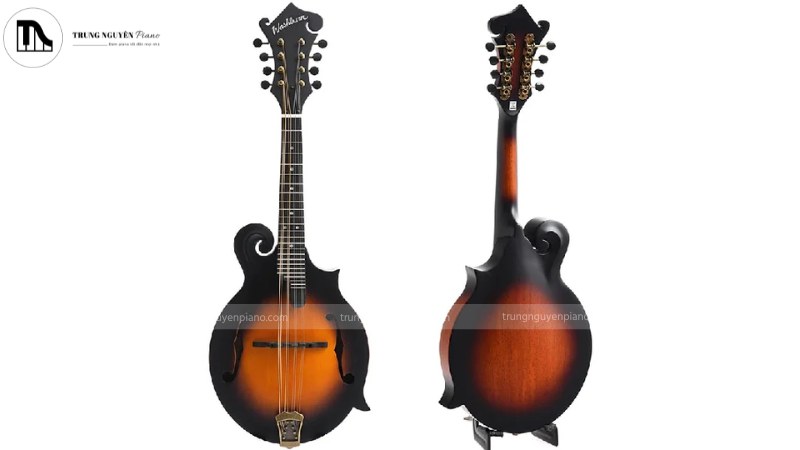 Giới thiệu đàn Mandolin: Âm thanh độc đáo và Cách chơi cơ bản 2 Đàn Mandolin đặc trưng bởi âm thanh trong trẻo và réo rắt