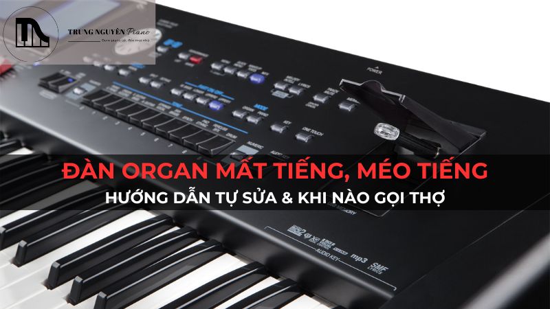 Đàn Organ bị mất tiếng, méo tiếng: Hướng dẫn tự sửa & khi nào gọi thợ