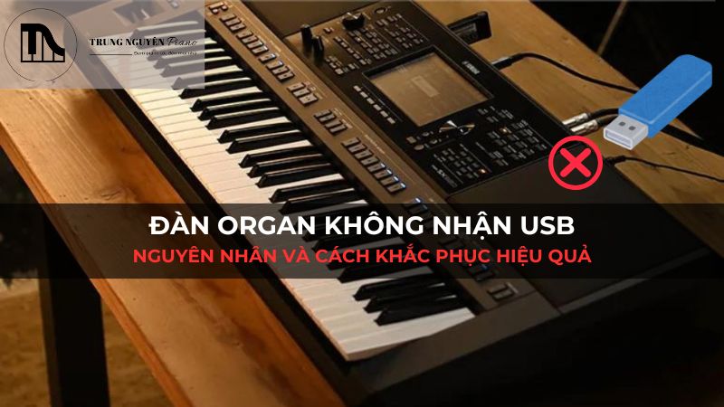 Đàn Organ không nhận USB: Nguyên nhân và cách khắc phục hiệu quả