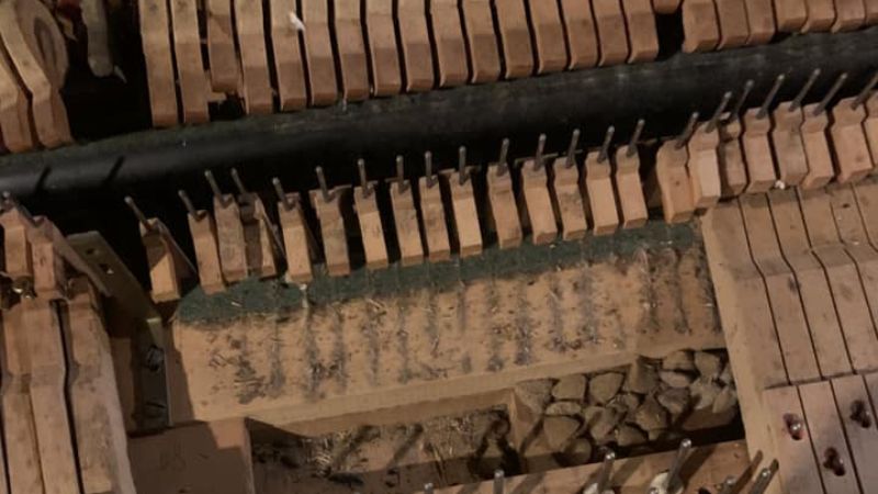 Các bộ phận gỗ mềm và nỉ trong cơ cấu action của đàn bị tổn hại do chuột