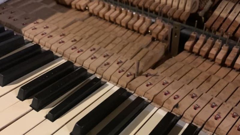 Đàn piano bị hư hỏng nặng do chuột gây ra, làm giảm giá trị sử dụng