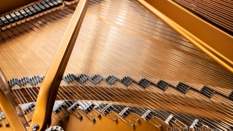 Giữ vệ sinh định kỳ giúp ngăn ngừa chuột tiếp cận đàn piano cơ hiệu quả