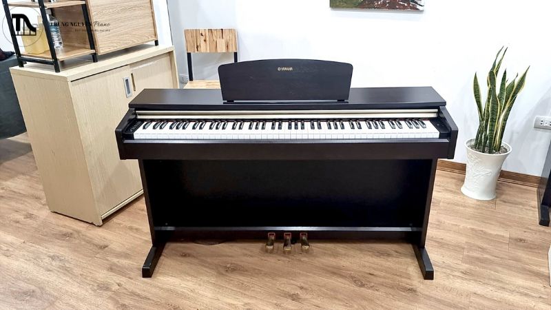 Có nên mua đàn piano điện giá rẻ dưới 10 triêu