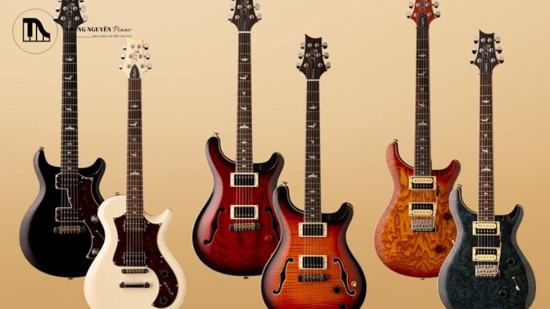 Giá của PRS SE Custom 24 có thể thay đổi tùy thuộc vào phiên bản màu sắc