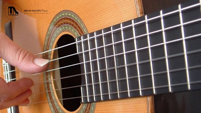 Dây Carbon vs Nylon: So sánh âm thanh & cảm giác cho Guitar Classic 1 Dây đàn chính là linh hồn, là nơi âm thanh của cây guitar classic