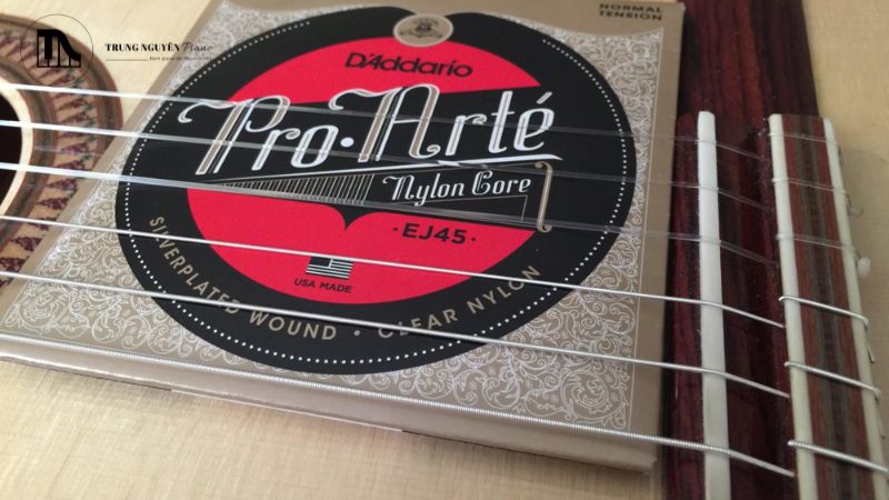 Dây Carbon vs Nylon: So sánh âm thanh & cảm giác cho Guitar Classic 2 Hộp đựng dây đàn D'Addario Pro-Arte EJ45