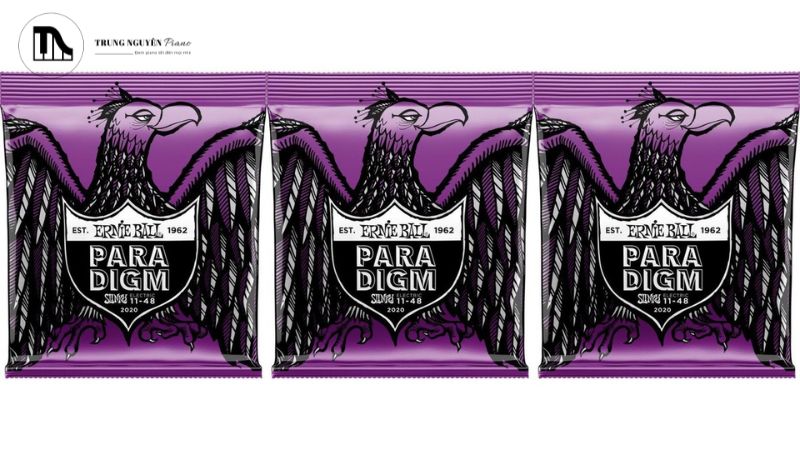 Dây Ernie Ball Paradigm: Đánh giá độ bền, âm sắc & có đáng mua? 6 Phân tích hiệu quả chi phí và giá trị lâu dài