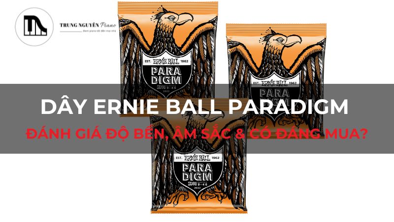 Dây Ernie Ball Paradigm: Đánh giá độ bền, âm sắc & có đáng mua?