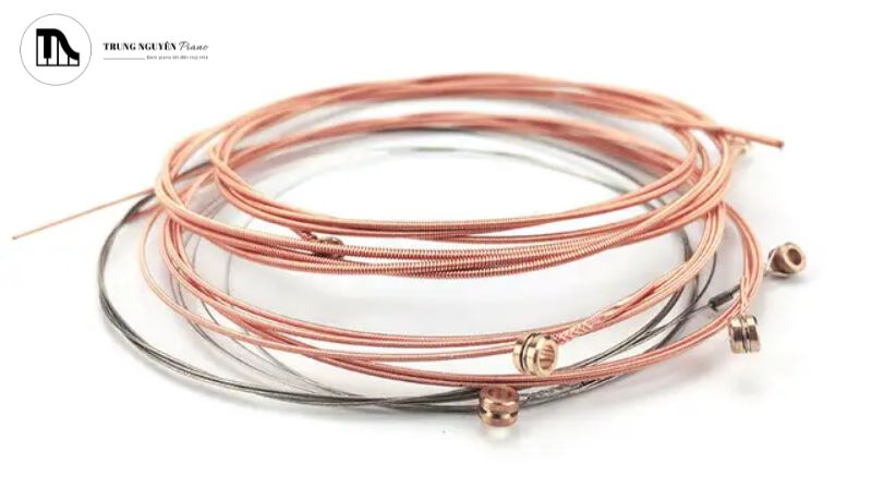 Elixir Nanoweb vs Polyweb: Chọn dây đúng cho âm thanh hoàn hảo 9 Mẹo bảo quản dây đàn Elixir để tối ưu tuổi thọ